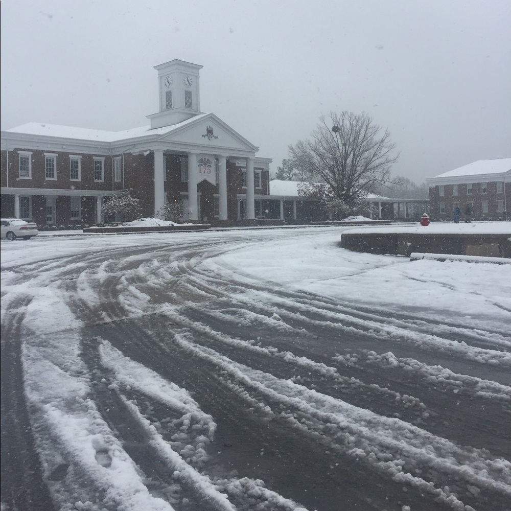 Meet your Posher, Piper